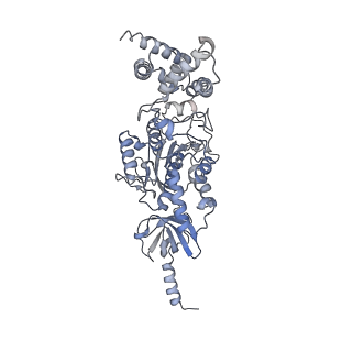 21262_6vof_A_v1-1
Chloroplast ATP synthase (O2, CF1FO)