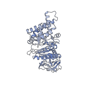 21262_6vof_B_v1-1
Chloroplast ATP synthase (O2, CF1FO)