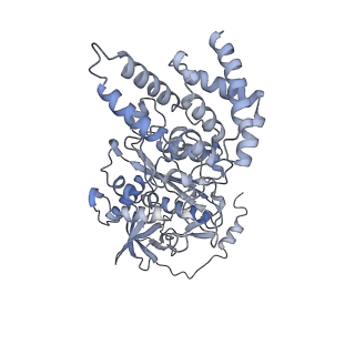21262_6vof_C_v1-1
Chloroplast ATP synthase (O2, CF1FO)