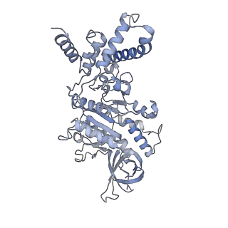 21262_6vof_D_v1-1
Chloroplast ATP synthase (O2, CF1FO)