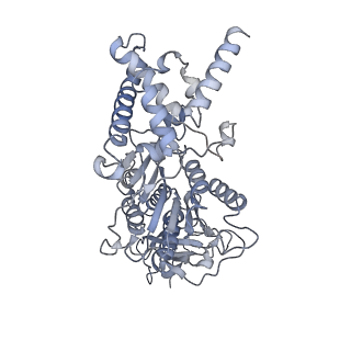21262_6vof_E_v1-1
Chloroplast ATP synthase (O2, CF1FO)