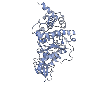 21262_6vof_F_v1-1
Chloroplast ATP synthase (O2, CF1FO)