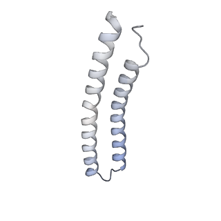 21262_6vof_N_v1-1
Chloroplast ATP synthase (O2, CF1FO)