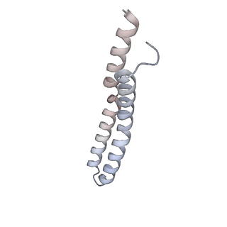 21262_6vof_Y_v1-1
Chloroplast ATP synthase (O2, CF1FO)