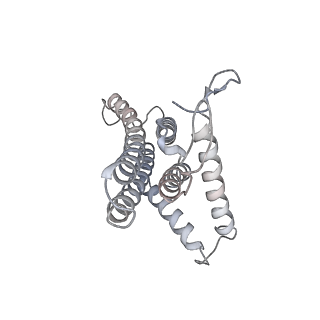 21262_6vof_a_v1-1
Chloroplast ATP synthase (O2, CF1FO)