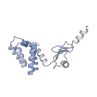 21262_6vof_d_v1-1
Chloroplast ATP synthase (O2, CF1FO)