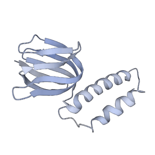 21262_6vof_e_v1-1
Chloroplast ATP synthase (O2, CF1FO)