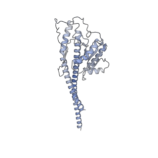 21262_6vof_g_v1-1
Chloroplast ATP synthase (O2, CF1FO)