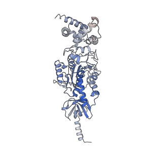 21263_6vog_A_v1-1
Chloroplast ATP synthase (O2, CF1)
