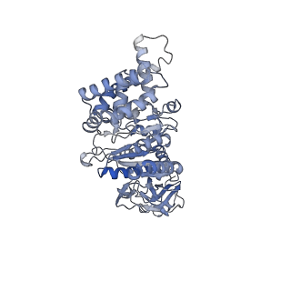 21263_6vog_B_v1-1
Chloroplast ATP synthase (O2, CF1)