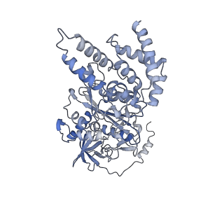 21263_6vog_C_v1-1
Chloroplast ATP synthase (O2, CF1)