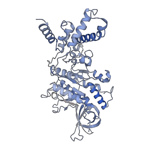 21263_6vog_D_v1-1
Chloroplast ATP synthase (O2, CF1)