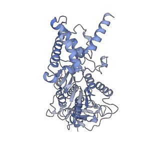 21263_6vog_E_v1-1
Chloroplast ATP synthase (O2, CF1)