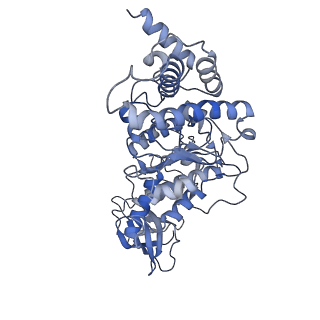 21263_6vog_F_v1-1
Chloroplast ATP synthase (O2, CF1)