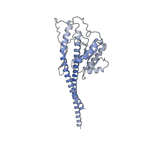 21263_6vog_g_v1-1
Chloroplast ATP synthase (O2, CF1)