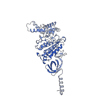 21264_6voh_A_v1-1
Chloroplast ATP synthase (O1, CF1FO)