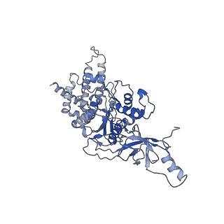 21264_6voh_B_v1-1
Chloroplast ATP synthase (O1, CF1FO)