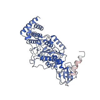 21264_6voh_C_v1-1
Chloroplast ATP synthase (O1, CF1FO)