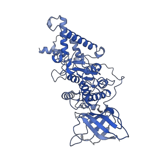 21264_6voh_D_v1-1
Chloroplast ATP synthase (O1, CF1FO)