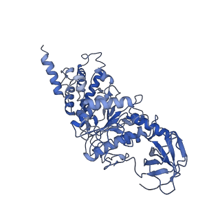 21264_6voh_E_v1-1
Chloroplast ATP synthase (O1, CF1FO)