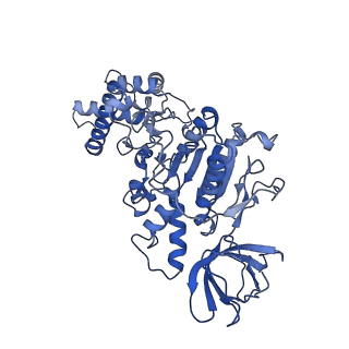 21264_6voh_F_v1-1
Chloroplast ATP synthase (O1, CF1FO)