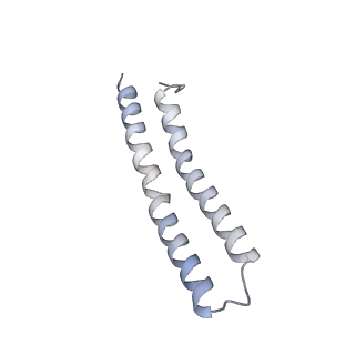 21264_6voh_P_v1-1
Chloroplast ATP synthase (O1, CF1FO)