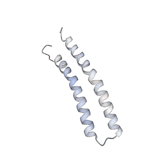 21264_6voh_W_v1-1
Chloroplast ATP synthase (O1, CF1FO)