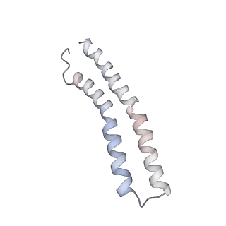 21264_6voh_X_v1-1
Chloroplast ATP synthase (O1, CF1FO)