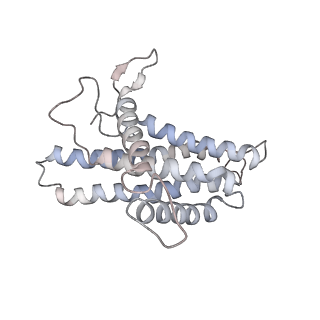 21264_6voh_a_v1-1
Chloroplast ATP synthase (O1, CF1FO)