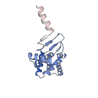 21264_6voh_d_v1-1
Chloroplast ATP synthase (O1, CF1FO)