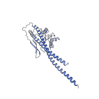 21264_6voh_g_v1-1
Chloroplast ATP synthase (O1, CF1FO)