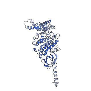 21265_6voi_A_v1-1
Chloroplast ATP synthase (O1, CF1)