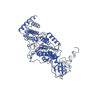 21265_6voi_C_v1-1
Chloroplast ATP synthase (O1, CF1)