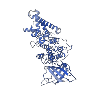 21265_6voi_D_v1-1
Chloroplast ATP synthase (O1, CF1)