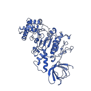 21265_6voi_F_v1-1
Chloroplast ATP synthase (O1, CF1)