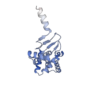 21265_6voi_d_v1-1
Chloroplast ATP synthase (O1, CF1)