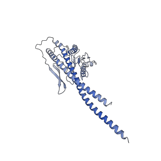 21265_6voi_g_v1-1
Chloroplast ATP synthase (O1, CF1)