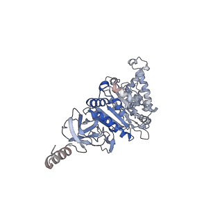 21266_6voj_A_v1-1
Chloroplast ATP synthase (R3, CF1FO)