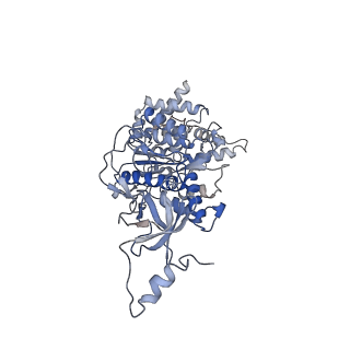 21266_6voj_B_v1-1
Chloroplast ATP synthase (R3, CF1FO)