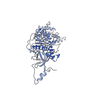 21266_6voj_B_v1-2
Chloroplast ATP synthase (R3, CF1FO)