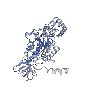 21266_6voj_C_v1-1
Chloroplast ATP synthase (R3, CF1FO)