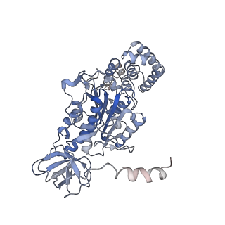 21266_6voj_C_v1-2
Chloroplast ATP synthase (R3, CF1FO)