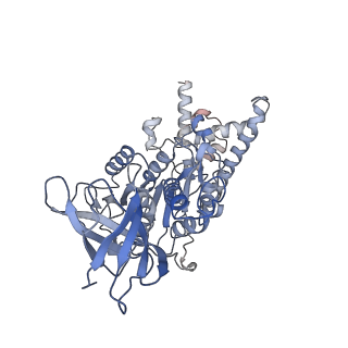 21266_6voj_D_v1-1
Chloroplast ATP synthase (R3, CF1FO)