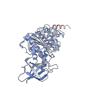 21266_6voj_E_v1-1
Chloroplast ATP synthase (R3, CF1FO)