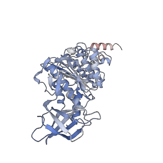 21266_6voj_E_v1-2
Chloroplast ATP synthase (R3, CF1FO)