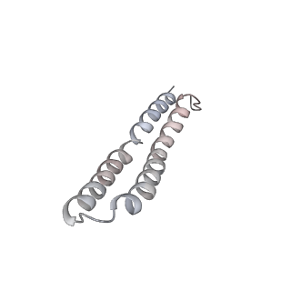 21266_6voj_O_v1-1
Chloroplast ATP synthase (R3, CF1FO)