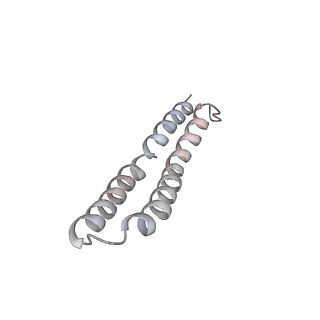 21266_6voj_O_v1-2
Chloroplast ATP synthase (R3, CF1FO)