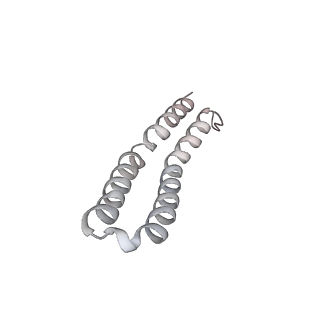 21266_6voj_P_v1-2
Chloroplast ATP synthase (R3, CF1FO)