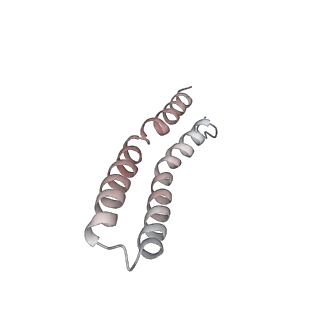 21266_6voj_Q_v1-1
Chloroplast ATP synthase (R3, CF1FO)