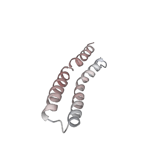 21266_6voj_Q_v1-2
Chloroplast ATP synthase (R3, CF1FO)